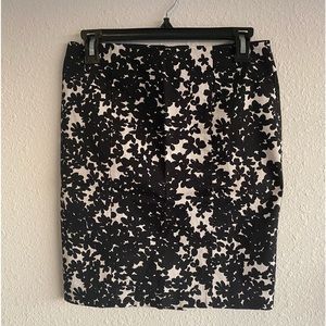 Ann Taylor skirt
